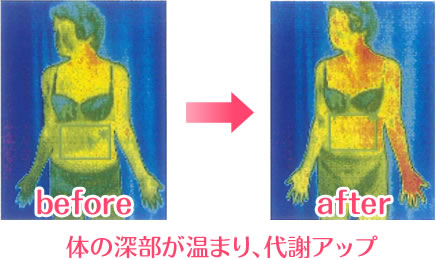 第三者機関による検証で深部が温まり代謝がアップすることが実証